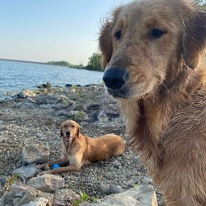 Meet your Posher, Scotland k